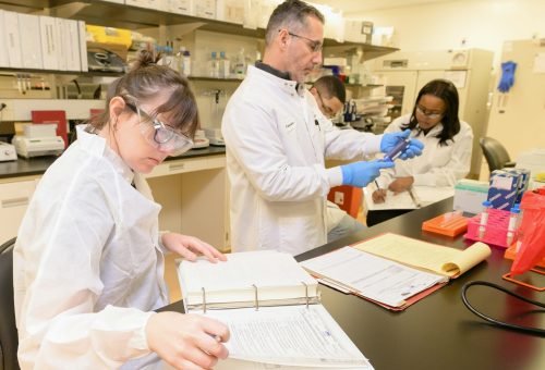 national-institute-of-allergy-and-infectious-diseases-U0zO9rI47WA-unsplash